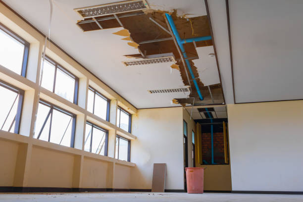 Best 24-hour water damage restoration  in Troy, MI