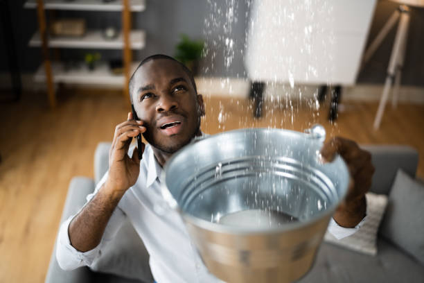 Best Ceiling water damage repair  in Troy, MI