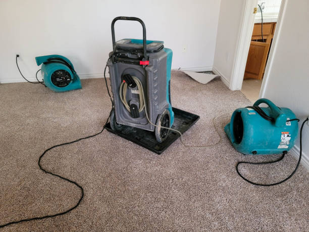 Best Sewage cleanup and water damage restoration  in Troy, MI