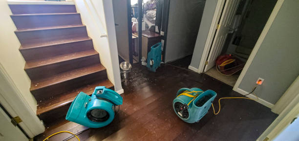 Best Water damage restoration near me  in Troy, MI