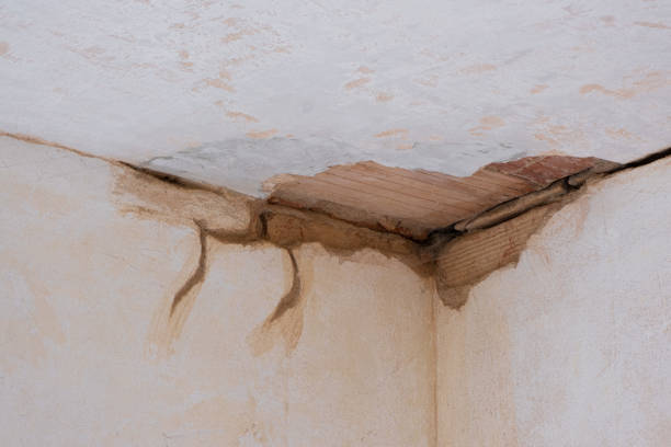 Best Fire Damage Restoration  in Troy, MI